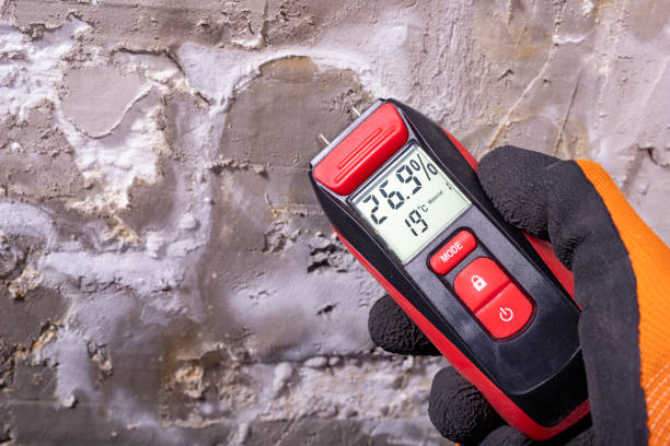Best Toxic Mold Removal  in Blakely, GA